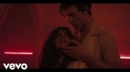 Shawn Mendes, Camila Cabello - Señorita