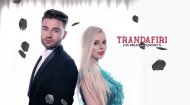 Jon Brian feat. Sandra N. - Trandafiri