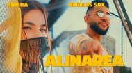 Anisha, Nikolas Sax si Costi - Alinarea